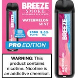 BREEZE 2000 10PC WATERMELON MINT